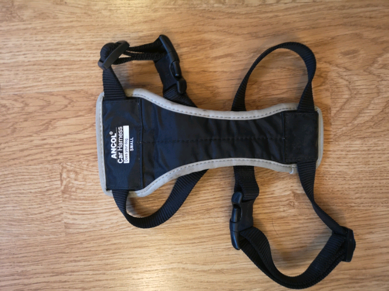 ancol dog car harness